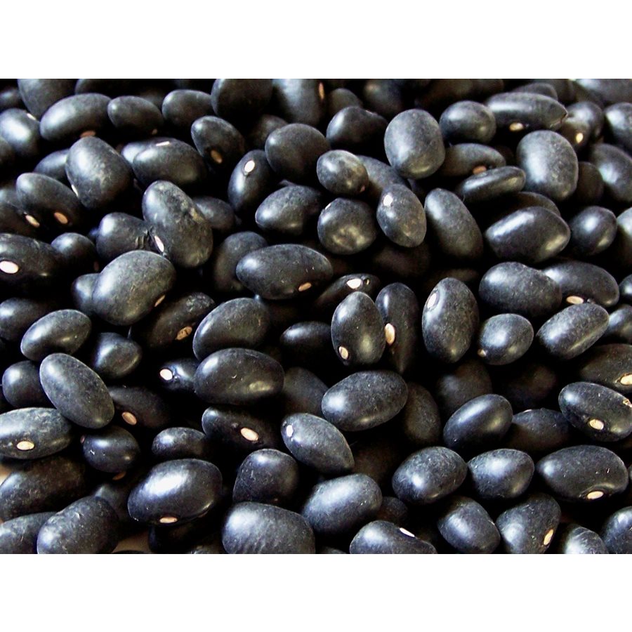 Black Turtle Beans 10kg