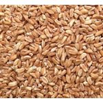 Farro Grain 1kg bag