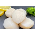 Scallops Sea Frozen 10 / 20 ct