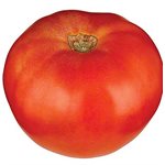 Tomatoes XL Bulk 25lb