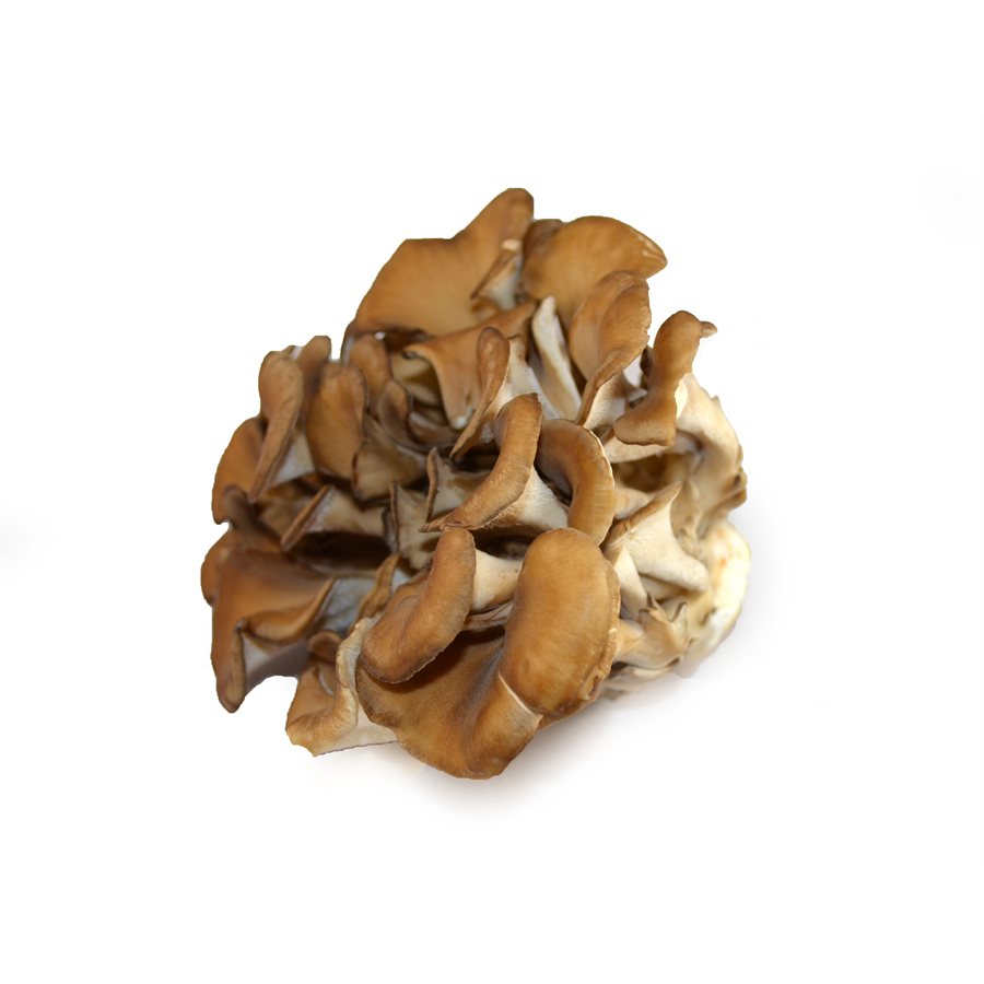 Maitake Mushrooms